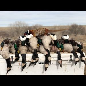 Meet your Posher, Drake